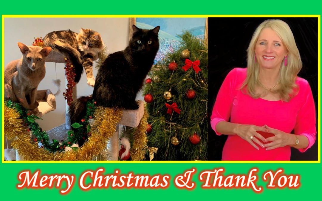 Mortgage Broker Mentor – Merry Christmas & Thank you!